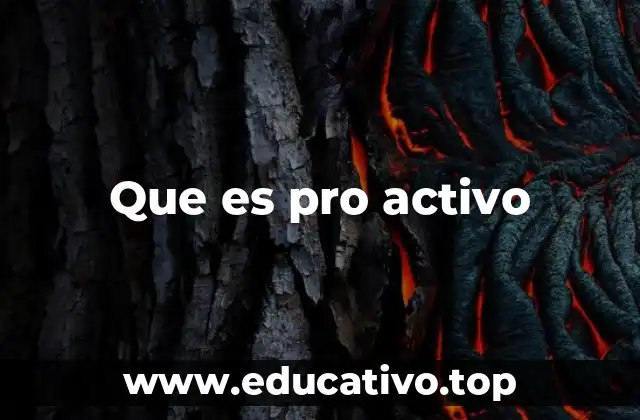 Que es pro activo