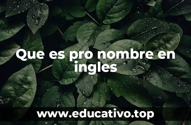 Que es pro nombre en ingles