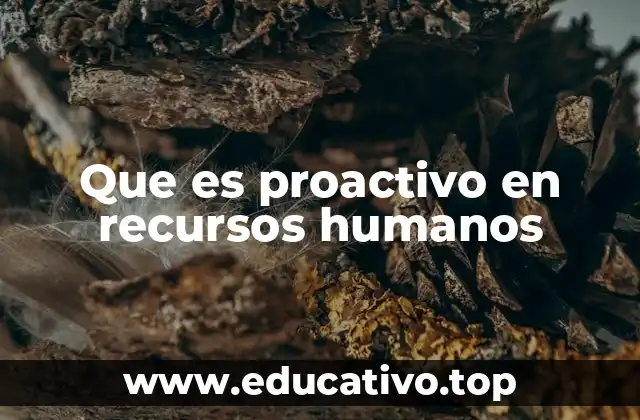 Que es proactivo en recursos humanos