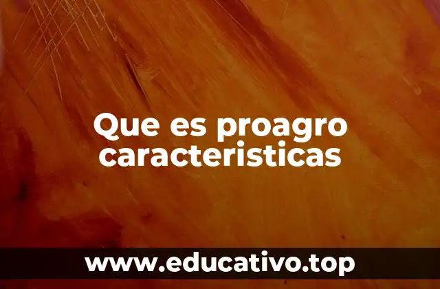 Que es proagro caracteristicas