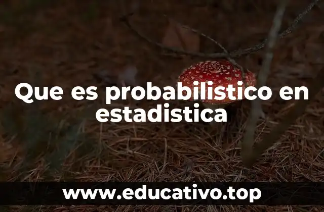Que es probabilistico en estadistica
