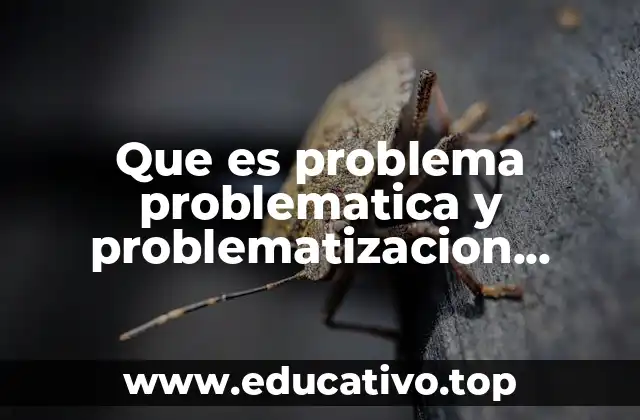 Que es problema problematica y problematizacion redalyc