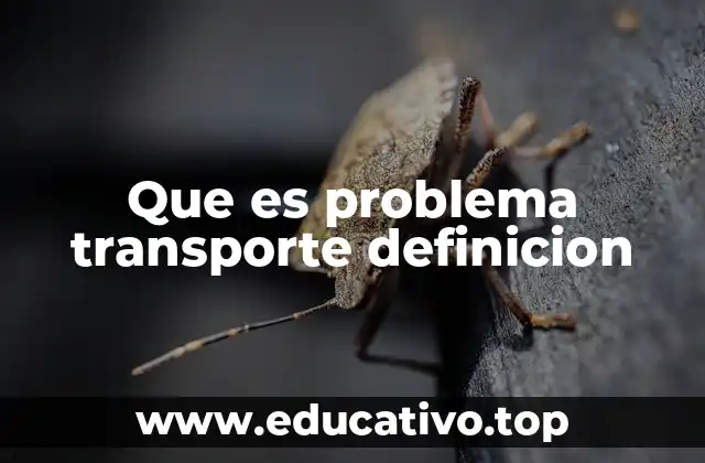 Que es problema transporte definicion