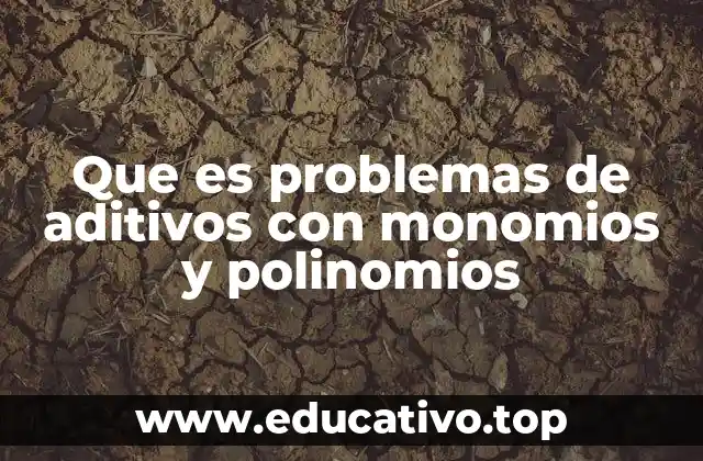 Que es problemas de aditivos con monomios y polinomios