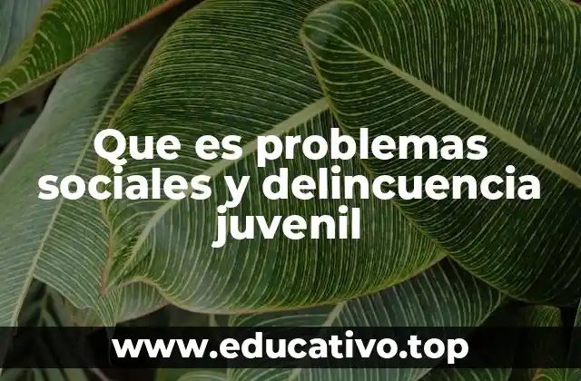 Que es problemas sociales y delincuencia juvenil