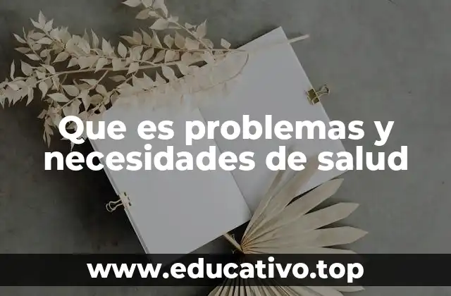 Que es problemas y necesidades de salud