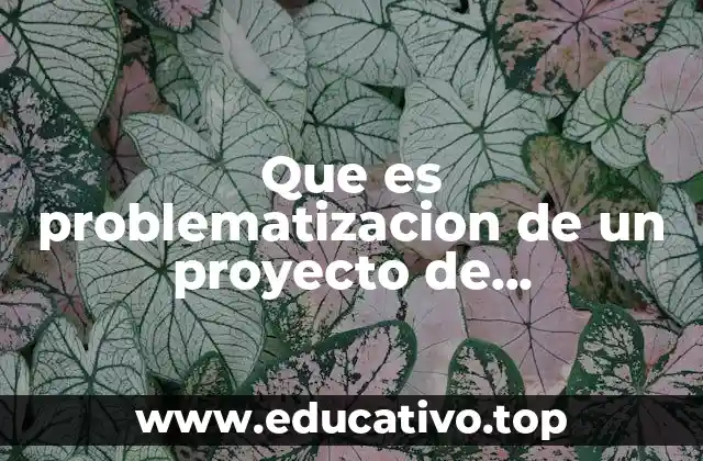 Que es problematizacion de un proyecto de investigación