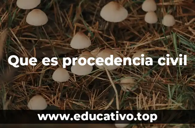 La importancia del marco legal en los procesos civiles