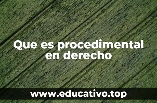 Que es procedimental en derecho