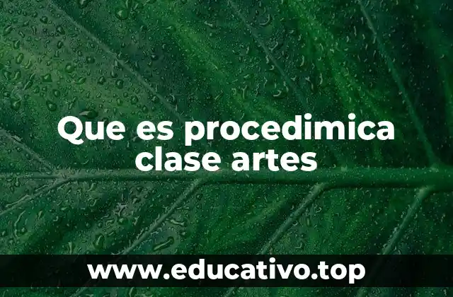 Que es procedimica clase artes