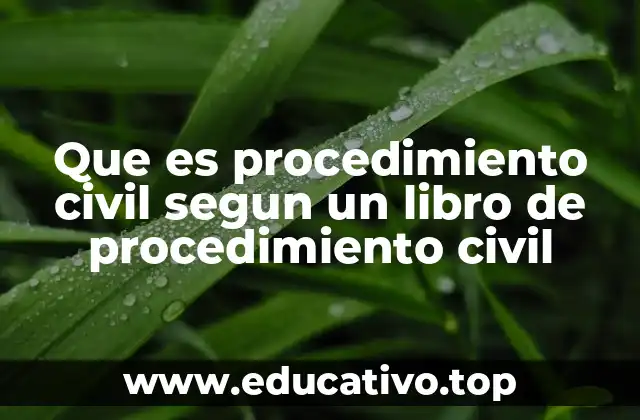 Que es procedimiento civil segun un libro de procedimiento civil