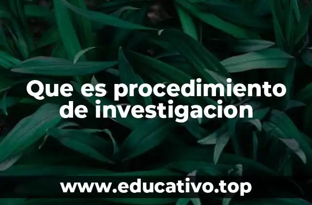 Que es procedimiento de investigacion
