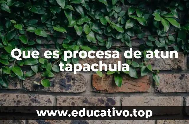 Que es procesa de atun tapachula
