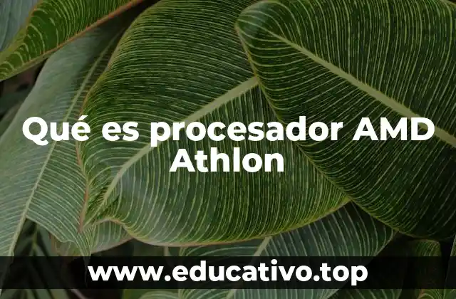 Qué es procesador AMD Athlon