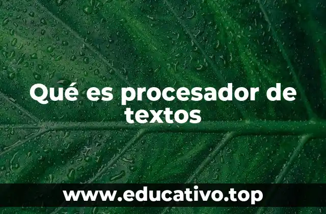 Qué es procesador de textos