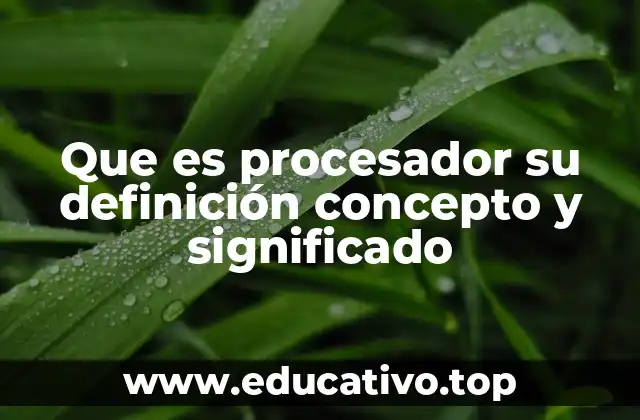 Que es procesador su definición concepto y significado