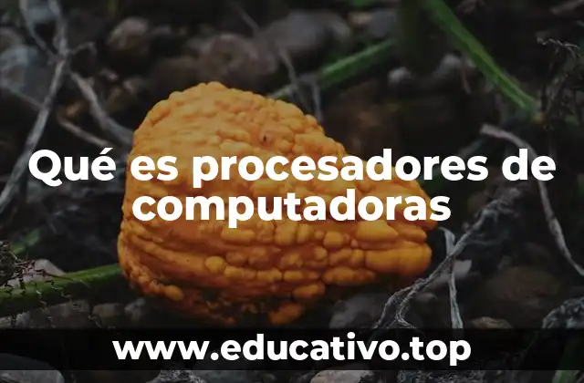 Qué es procesadores de computadoras