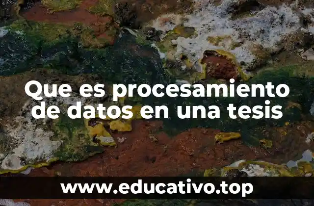 Que es procesamiento de datos en una tesis