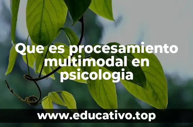Que es procesamiento multimodal en psicologia