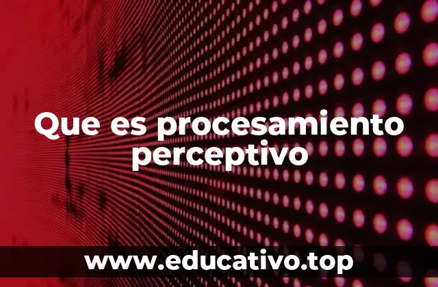 Que es procesamiento perceptivo