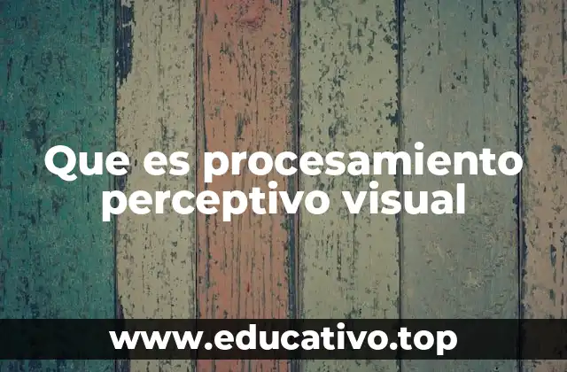 Que es procesamiento perceptivo visual