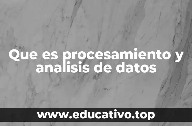 Que es procesamiento y analisis de datos