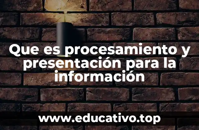 Que es procesamiento y presentación para la información
