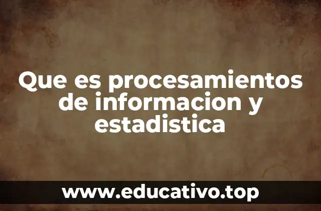 Que es procesamientos de informacion y estadistica