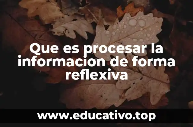 Que es procesar la informacion de forma reflexiva