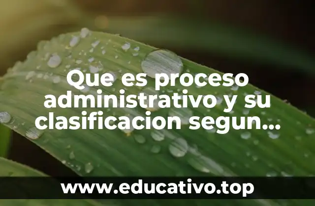 Que es proceso administrativo y su clasificacion segun miner