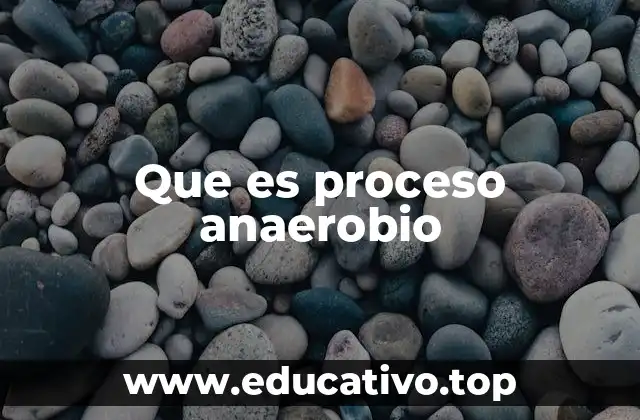 Que es proceso anaerobio