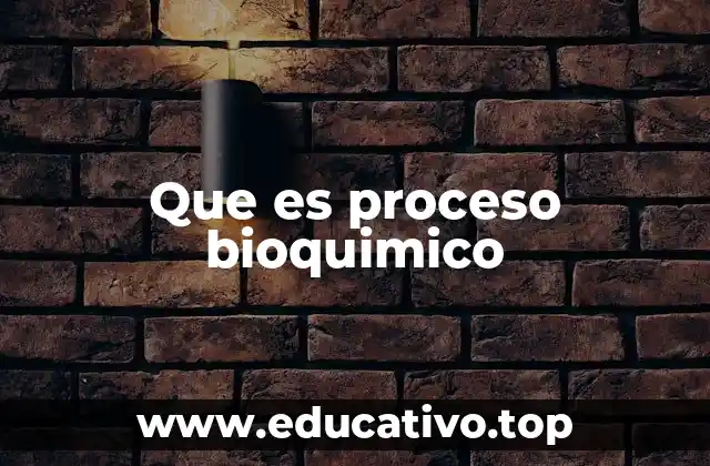 Que es proceso bioquimico