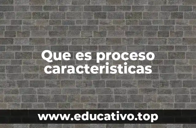 Que es proceso caracteristicas