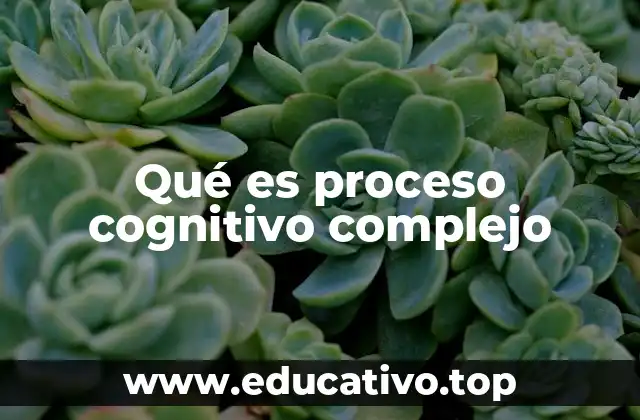 Qué es proceso cognitivo complejo