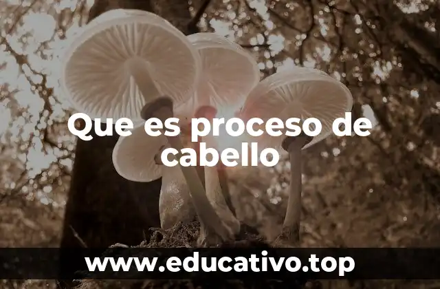 Que es proceso de cabello