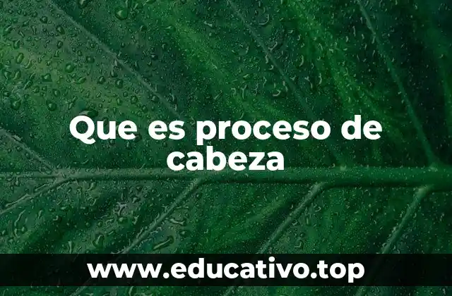 Que es proceso de cabeza