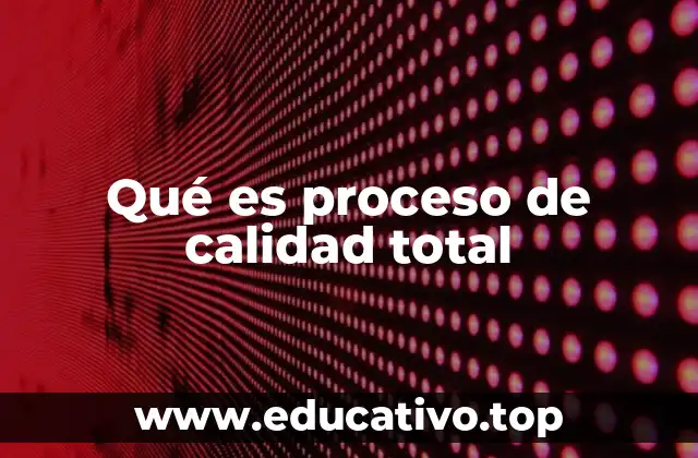Qué es proceso de calidad total