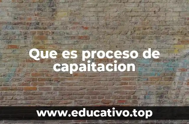 Que es proceso de capaitacion