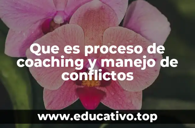 Que es proceso de coaching y manejo de conflictos