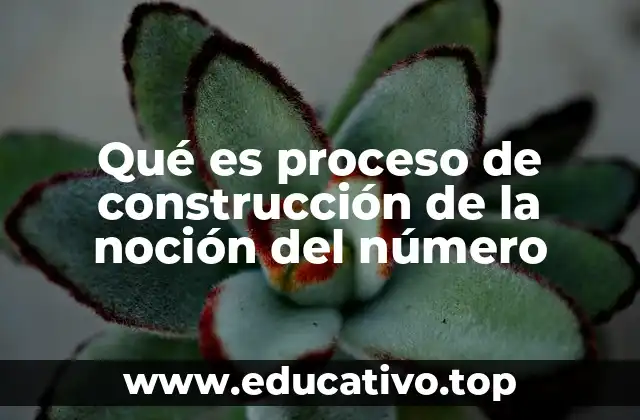 Qué es proceso de construcción de la noción del número