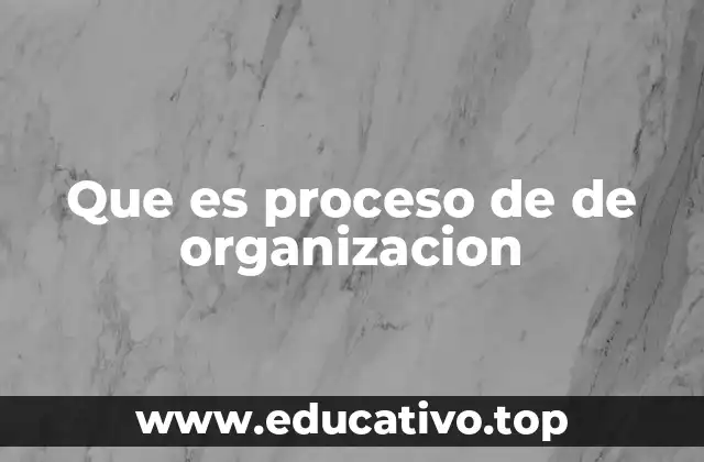 Que es proceso de de organizacion