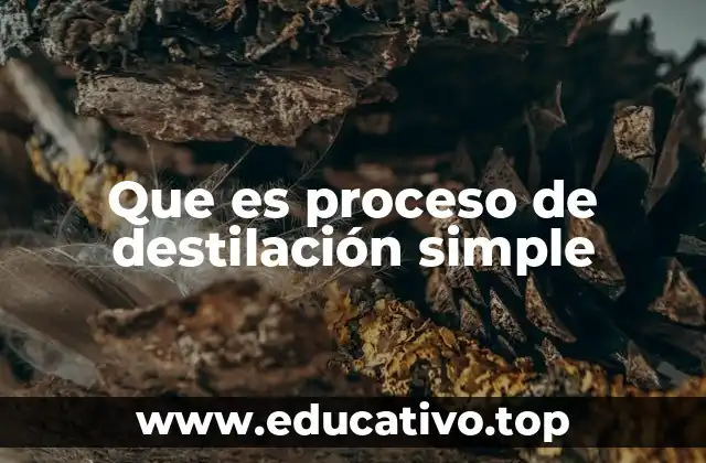 Que es proceso de destilación simple