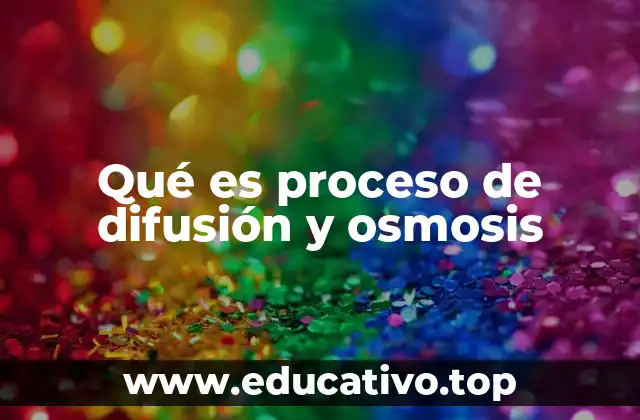 Qué es proceso de difusión y osmosis