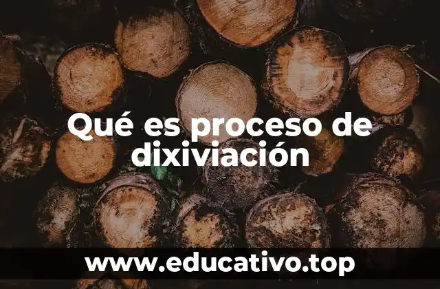 Qué es proceso de dixiviación