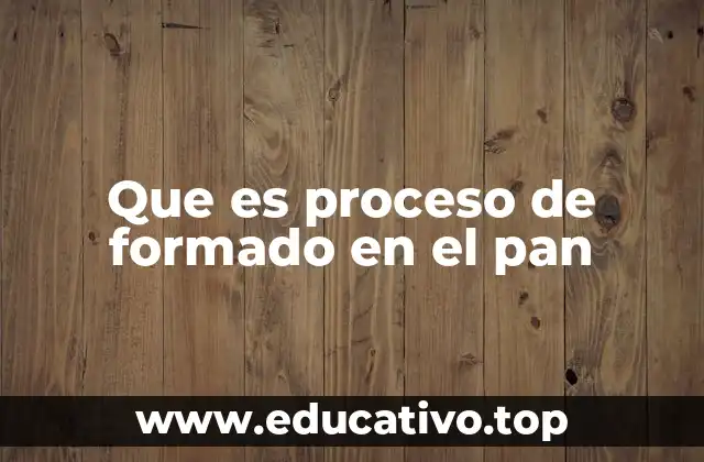 Que es proceso de formado en el pan