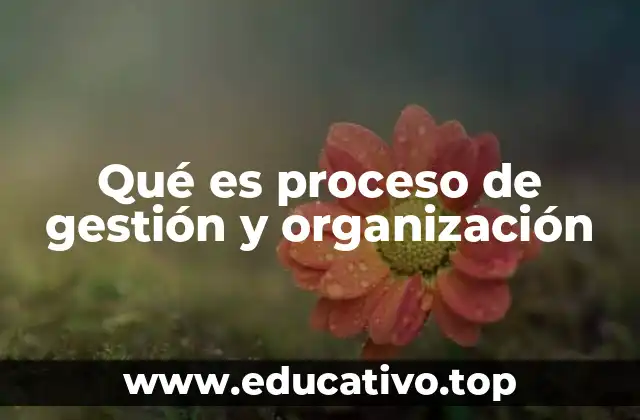Qué es proceso de gestión y organización