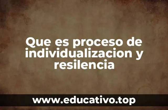Que es proceso de individualizacion y resilencia