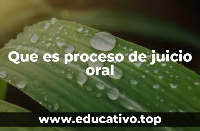 Que es proceso de juicio oral