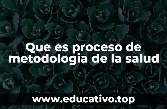 Que es proceso de metodologia de la salud