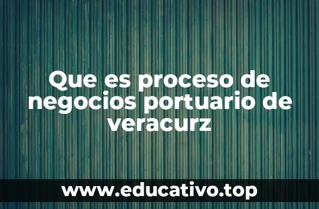 Que es proceso de negocios portuario de veracurz